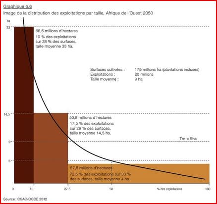 Exploitations par taille Exploitations par taille