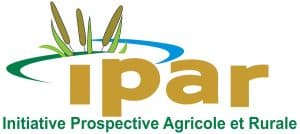 IPAR recrute un expert(e) en gestion des connaissances